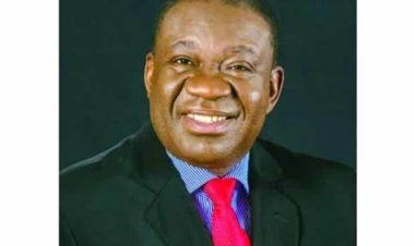 How Professor Ositadimma Nebo Transformed UNN