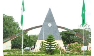 BATNF Awards Start-Up Grants to FUNAAB Graduate Agripreneurs