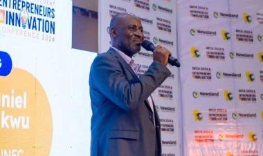 World-Class Conference at University of Nigeria Enugu Campus Draws Praise and Participation