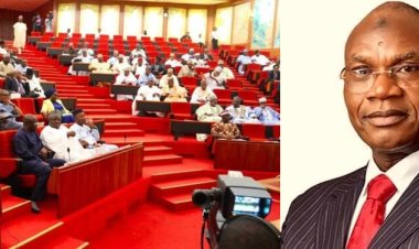 Senate Summons Education Minister Over Nigerian Students' Plight Abroad