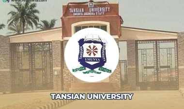 Oluchi Umeaso of Tansian University Receives Prestigious Scholarship to United Kingdom