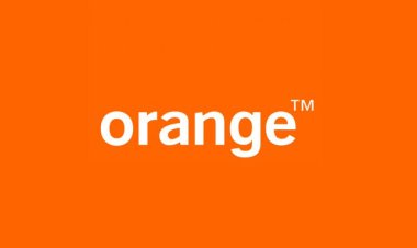 Orange Group Launches 2024 Graduate Trainee Program