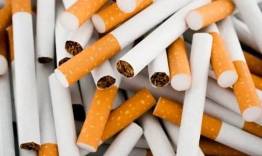 UNILORIN Professor Reveals Alarming Smoking Statistics