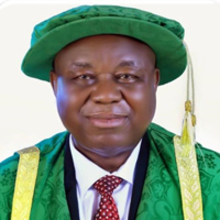 Your Degrees are Visas to Glorious Futures- UNN VC, Prof Charles Igwe