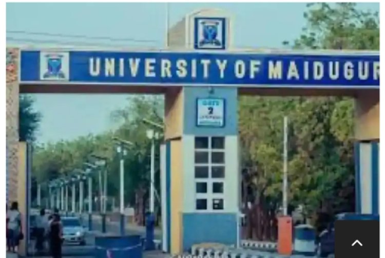 UNIMAID Announces Examination Pin Issuance for Undergraduate Students