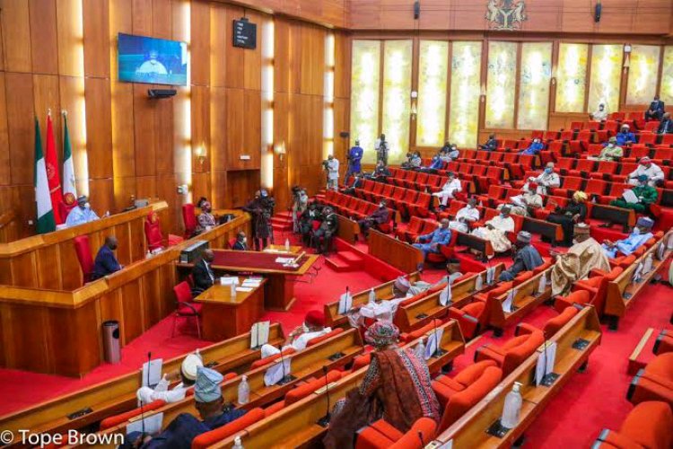 Nigerian Senate Advances Bill for Establishment of Federal University of Agriculture and Entrepreneurship in Bama