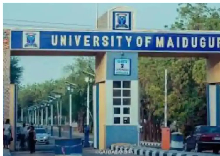University of Maiduguri Shifts First Semester Examinations, Announces New Date