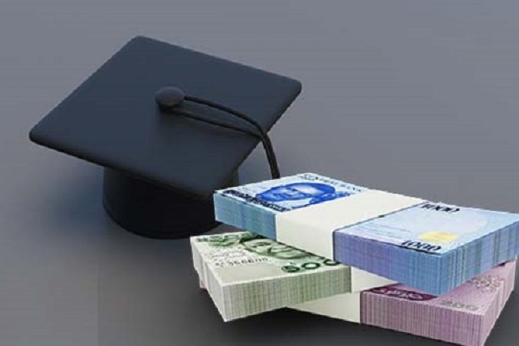 State-run Tertiary Institutions to Benefit from Student Loan Scheme, Confirms NELFUND