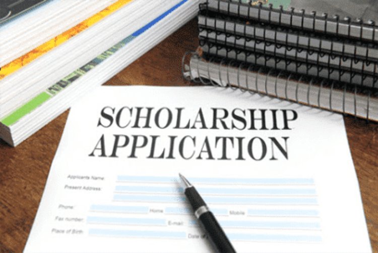 PAU scholarship for Undergraduate Programmes, 2024/2025