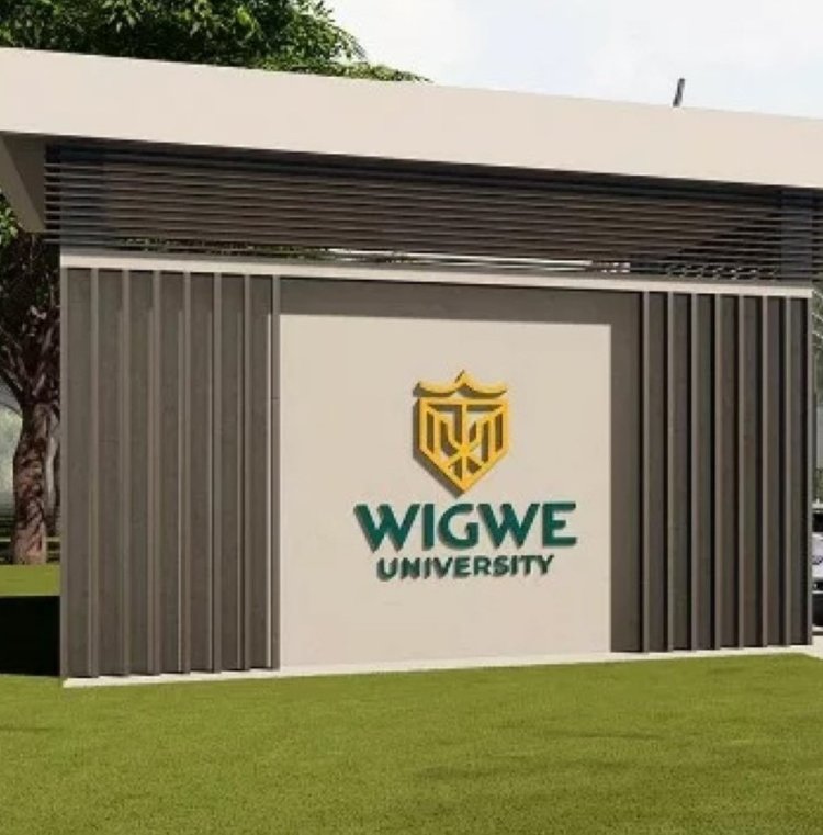 Wigwe University Announces Partnership Program With US University