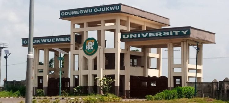 Ojukwu University Advances International Collaborations with University of Lincoln