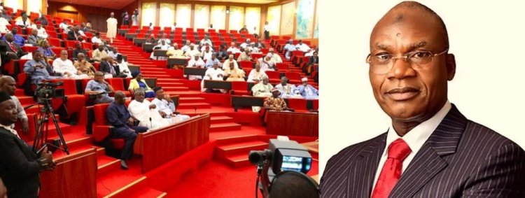 Senate Summons Education Minister Over Nigerian Students' Plight Abroad