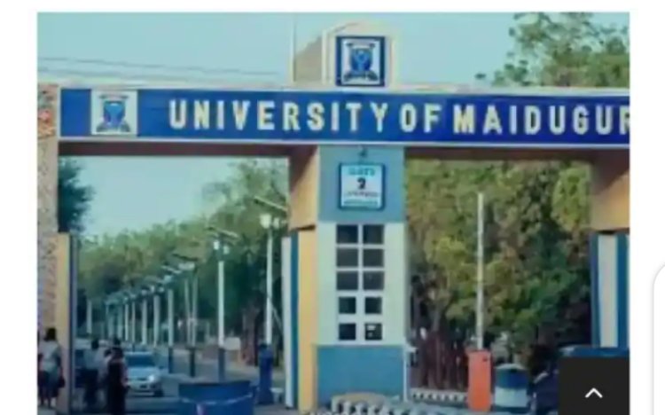 University of Maiduguri Unveils New Student Portal