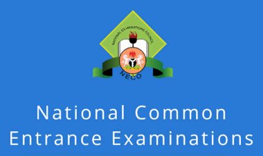 Lagos Leads as Over 70,000 Candidates Sit for 2024 National Common Entrance Examination