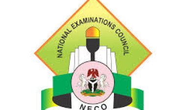 2024 NCEE: NECO Records Drop In Common Entrance Candidates