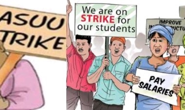 ASUU Joins Nationwide Strike, Halting University Activities Across Nigeria