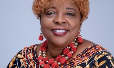 Prof. Kate Azuka Omenugha Transforms Ojukwu University with 3Vs Framework