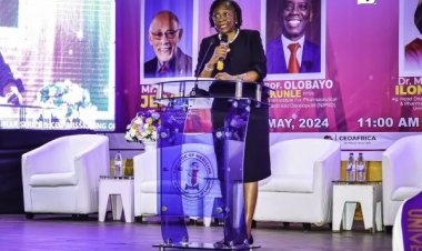 UNILAG VC Announces MedAfrica GMP Facility to Boost Pharmaceutical Collaboration and Impact