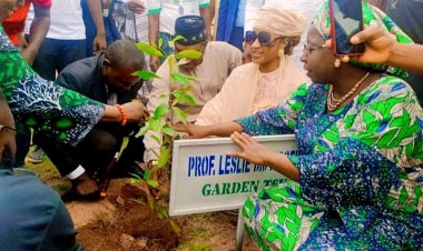 Taraba State University Hosts Tree Planting Event to Combat Climate Change