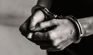 UI Professor Warns Against Cult Membership, Emphasizing Grievous Consequences