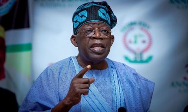 President Tinubu Urged to Intervene in Detention of Nigerian Professors in Cameroon