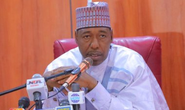 Zulum Inaugurates Six New Schools, Asserts Borno State Ownership of Projects