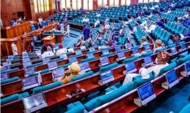 Education: House of Reps Urges Curriculum Review for Nigerian Schools