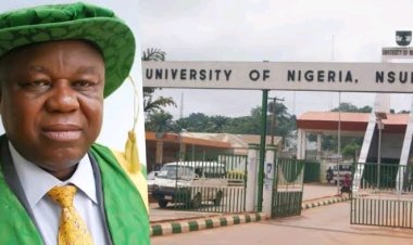 UNN Vice Chancellor Praises Volunteer Lecturer for Contributions