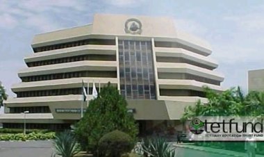 Zamfara Governor Urges TETFund to Boost Support for State Universities Amid Education Crisis