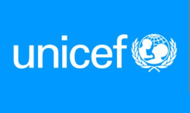 Nigerian Schools in Crisis: UNICEF Calls for Urgent Renovation
