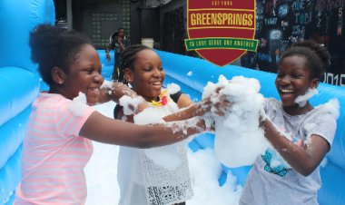 Greensprings School PTA  Advocates Fun and Games for Child Development