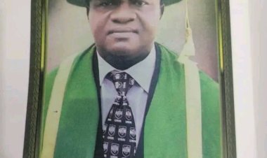 Prof. Romanus Chukwuduruo Ezeokonkwo Emerges as Acting Vice Chancellor of UNN