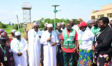 FULafia Launches Tree Planting Campaign to Foster Eco-Friendly Environment