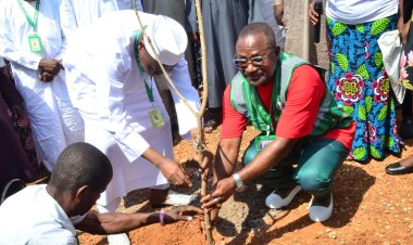 Tree planting: FULafia VC says campaign will foster eco-friendly environment