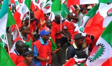 Strike Alert: NLC/TUC, ASUU May Resume Strike on Tuesday