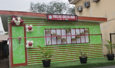 UNILAG to Mark 1st Year of Green Hub with Sustainability Race Celebration