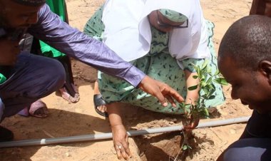 SAZUG Launches Major Tree-Planting Campaign with 1,000 Seedling
