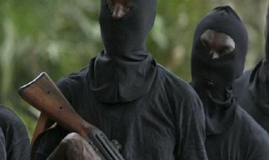 Kidnappers Collected N40m Before Releasing Us – Nasarawa Poly Student