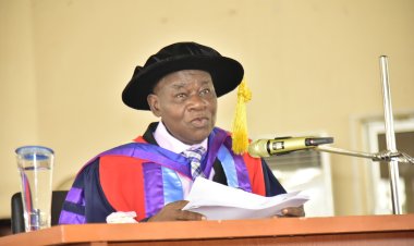 FUTA Professor Calls for Full Adoption of Local Content in Nigeria's Mineral Exploration