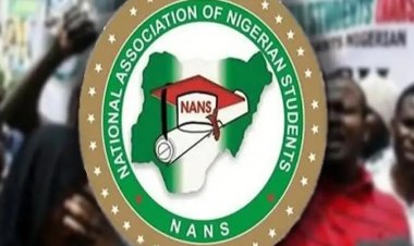 NANS Condemns Proposed Six-Year Single Term Bill, Threatens Nationwide Protest