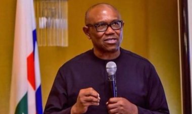 Peter Obi Urges Investment in Education to Address National Challenges