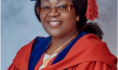 UNILORIN: Professor Fajonyomi Reveals Incident of Student Hacking N25 Million From Dad's Account