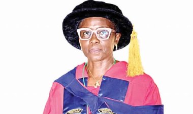 Insecurity destroyed girl-child education in Northern Nigeria — Professor Zara Emmanuel Kwaghe