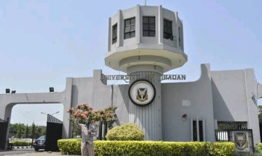Tinubu Appoints Bisi Akande as Pro-Chancellor of University of Ibadan