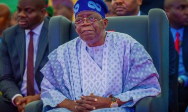 Tinubu Appoints Leaders to Governing Councils of Federal Universities, Polytechnics, and Colleges