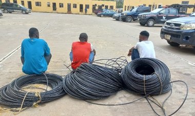 NSCDC Arrests Varsity Student and Accomplices for Electrical Cable Vandalism in Katsina