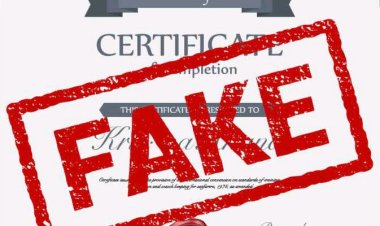 NANS Urges FG to Maintain Ban on Togo, Benin Republic Certificates