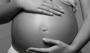 Experts Advocate for Inclusion of Abortion Education in Nigerian Secondary School Curriculum