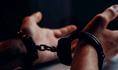 Anti-Graft Agency Arrests Three Kano Government Officials for Misappropriation of Students' Fees