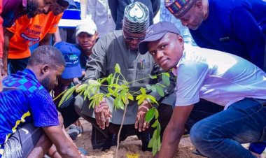 ATBU Student Leader KBJ Launches Tree Planting Initiative